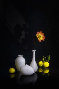 Stämningsfull blomma och frukt av Lydia Jacobs
