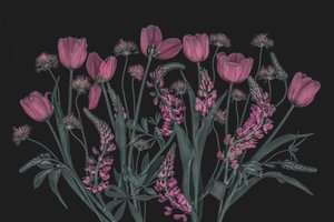 Stämningsfulla rosa blommor