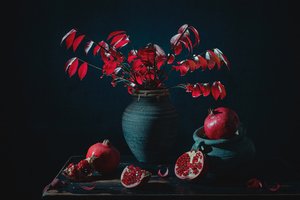 Stämningsfullt stilleben med rött granatäpple av Lydia Jacobs