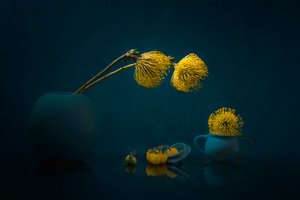 Stämningsfulla gula blommor