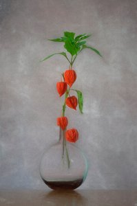 Vas med orange lyktor av Lydia Jacobs