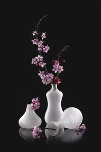 Rosa blommor, frostade vaser av Lydia Jacobs