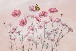 Rosa rosenskäror och fjäril av Lydia Jacobs
