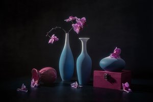 Rosa orkidéer och vaser av Lydia Jacobs