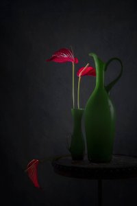 Röda anthurium, gröna vaser av Lydia Jacobs