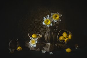 Vårpåskliljor och citroner av Lydia Jacobs