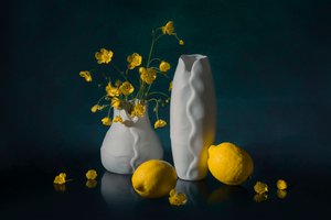 Livfullt blomsterstilleben av Lydia Jacobs