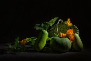 Livfullt skördestilleben av Lydia Jacobs