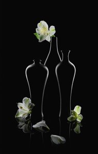 Vita blommor, mörka vaser av Lydia Jacobs