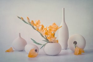 Gula blommor i vita vaser