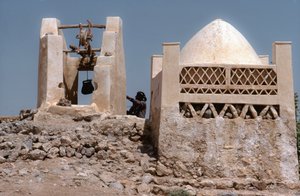 I öknen, en oas bevattningsplats med en brunn vid Husn Al-Muttahar söder om Tarin, Jemen.