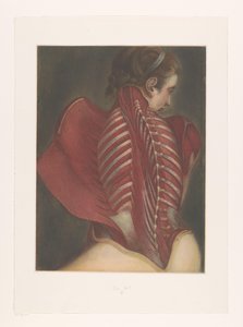 Anatomisk representation av ryggen av M.D. Duplain