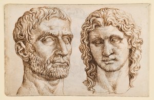 Huvud av en äldre man, huvud av en yngling av Maarten van Heemskerck