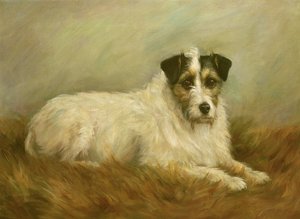 Terrierswed