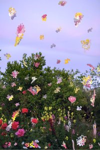 Abstraherade blommor, 2019 (akrylfärg på arkivbeständigt pigmenttryck)