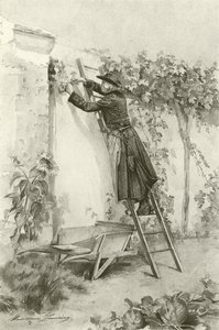 Abbe Constantine (gravyr)