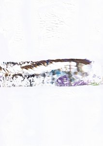 Sammanfattning: Horizon Blend