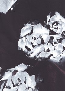 Abstrakt vitt blommönster