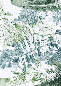 Botaniska intryck av ormbunkar av Maira Ribena