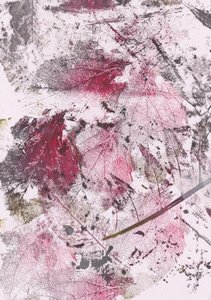 Intryck av Crimson Leaf