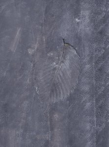Intryck av mörka blad av Maira Ribena