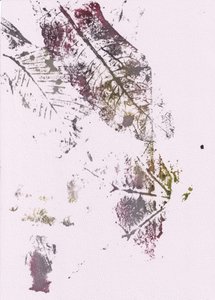 Jordnära botaniska intryck av Maira Ribena