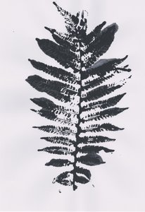 Elegant Fern Leaf