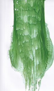 Fluid Green – abstrakt av Maira Ribena