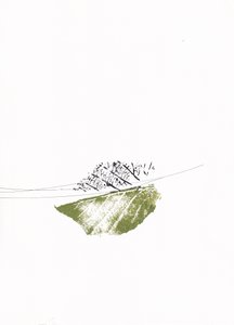 Gröna blad och kala grenar av Maira Ribena