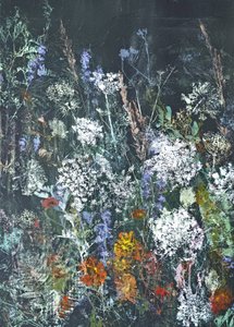 Vildblomsblomning vid midnatt
