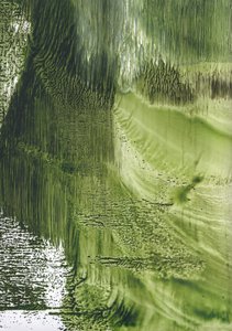 Organic Green Flow av Maira Ribena