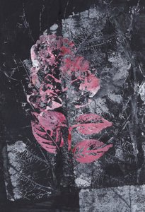 Texturerad rosa blomning