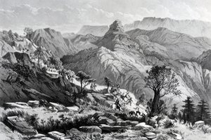 På marschen nära Dongolo, graverad av James Ferguson, 1868 av Major A.G.F. Hogg
