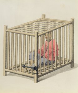 A Malefactor in a Cage, plåt 15 från 