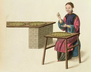 A Woman Preparing Tea, tallrik 21 från 