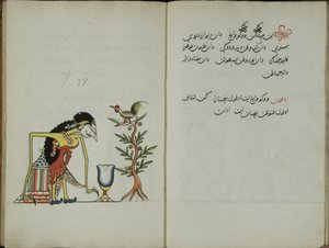 Gurkmeja Java, MS 41 sid. 54, bild 27, 1830