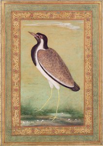 Indisk vipa, ca 1800