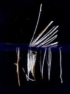 Due, 2018 (collage) av Marco Campedelli