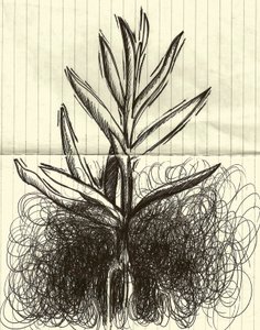Plant, 2014 (tusch på papper) av Marco Campedelli