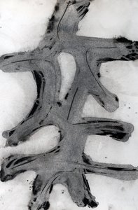 Ramas, 2014 (bläck på papper) av Marco Campedelli