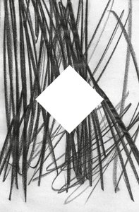Utan titel, 2014 (grafit på papper) av Marco Campedelli