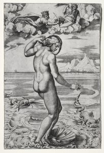 Venus födelse av Marco Dente