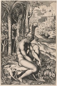 Venus sårad av en rostorn