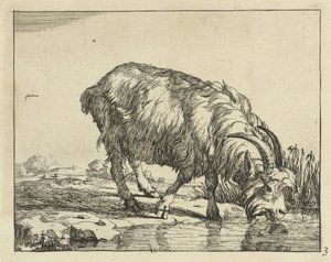 drickande get Goats and Bucks (serietitel) av Marcus de Bye