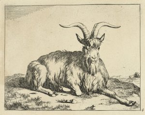 Liggande get med frambenet utsträckt Goats and Bucks (serietitel)