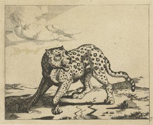 Leopard, stående till vänster, gå till höger Leopards (serietitel) av Marcus de Bye