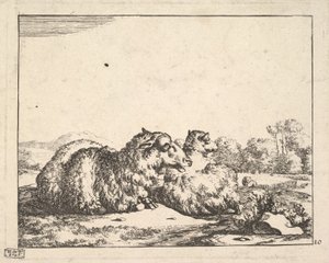 Får, från en uppsättning av 16 tallrikar, 1664. av Marcus de Bye