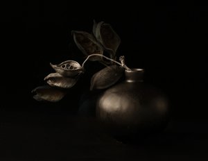 Stämningsfulla frökapslar