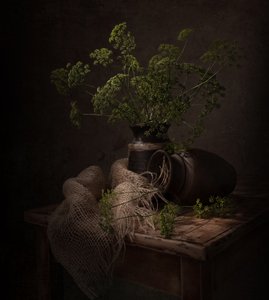 Mörkt botaniskt stilleben av Margareth Perfoncio