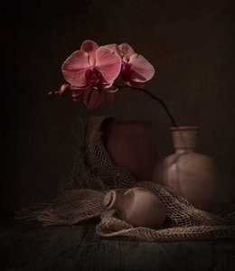 Stilleben med mörk orkidé av Margareth Perfoncio